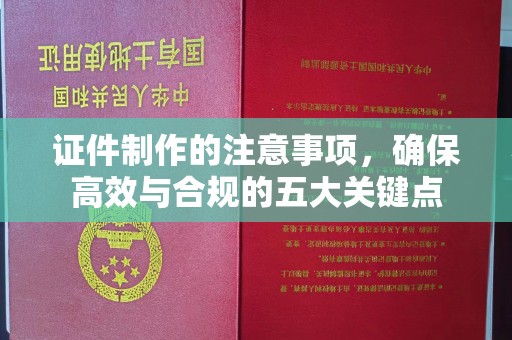 漳州证件制作的注意事项，确保高效与合规的五大关键点